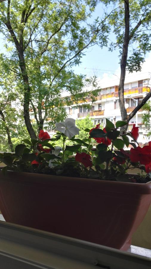 Apartment Csipke