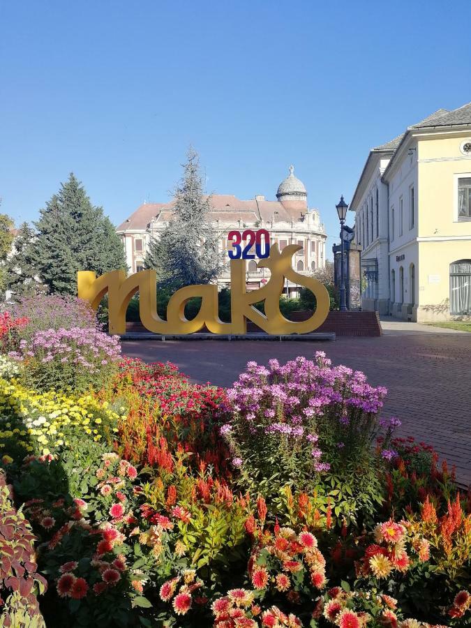 Csipke * Mako